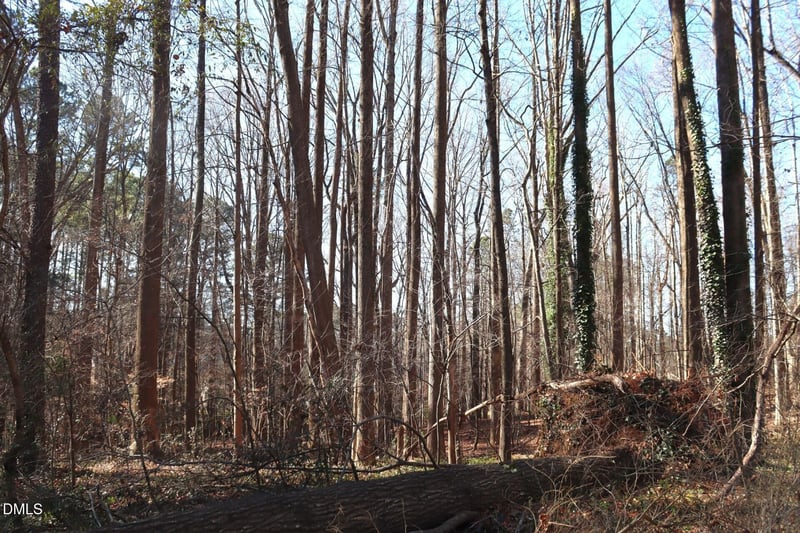 106 Frank Rd, Cary, NC 27518