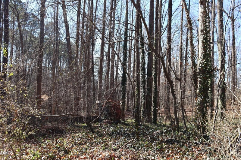 106 Frank Rd, Cary, NC 27518