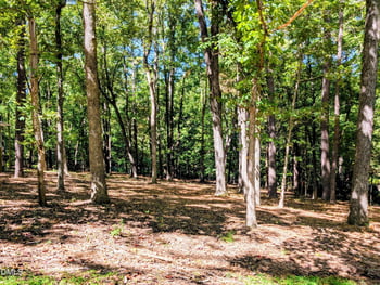 106 Highland Dr, Chapel Hill, NC 27514