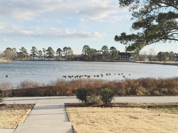 106 Periwinkle Pl, Clayton, NC 27527