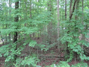 106 Pinto Dr, Louisburg, NC 27549