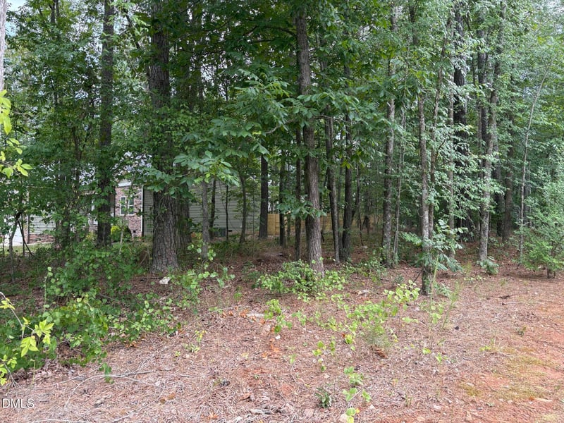 106 Shawnee Dr Lot 1299, Louisburg, NC 27549
