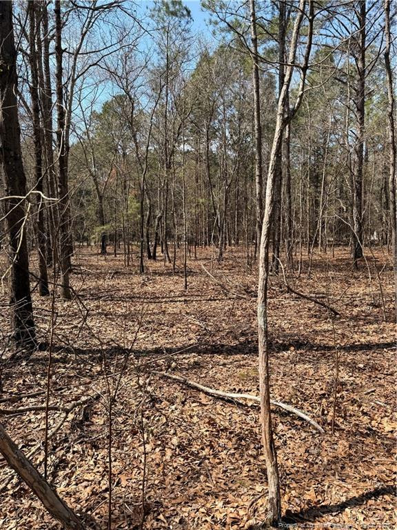 1067 Old Vander Rd, Fayetteville, NC 28312