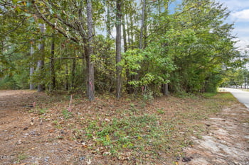 107-109 Black Cloud Dr, Louisburg, NC 27549