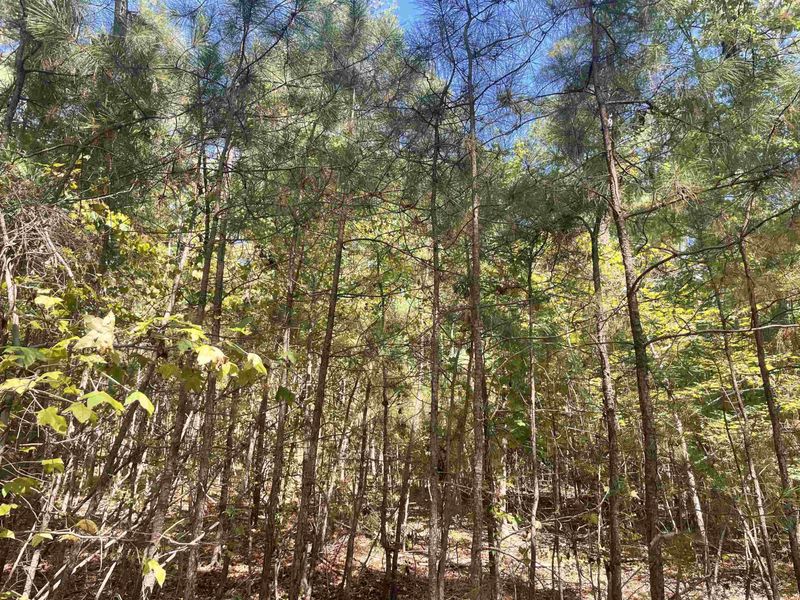 107 Big Bear Dr Lot B, Pittsboro, NC 27312