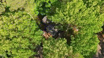 107 Black Bear Ct, Cary, NC 27513