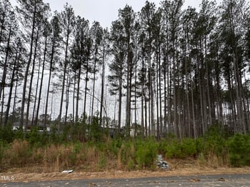 107 Edward Booth Ln, Durham, NC 27713