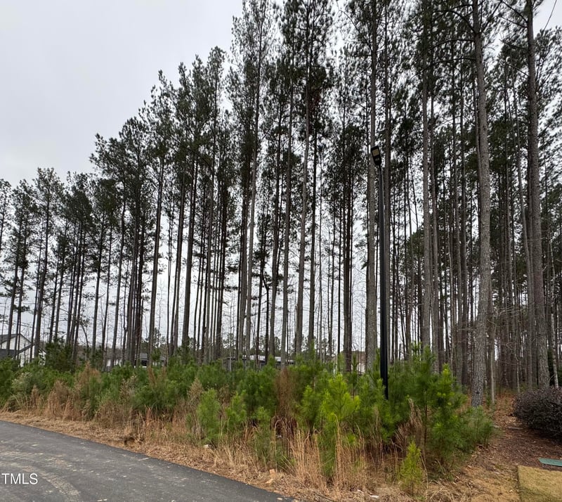 107 Edward Booth Ln Lot 22, Durham, NC 27713