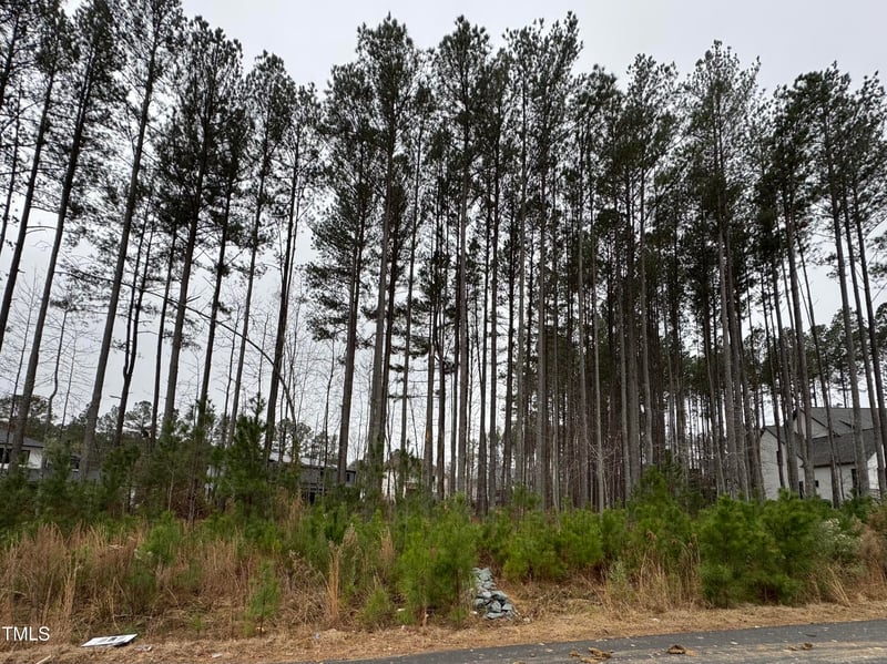 107 Edward Booth Ln Lot 22, Durham, NC 27713