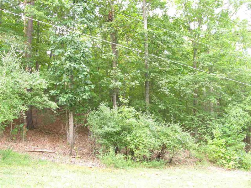 107 Elizabeth St, Chapel Hill, NC 27514