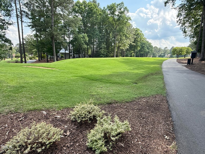 107 Ivy Hollow Ct, Morrisville, NC 27560