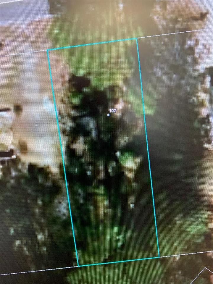 107 Maynard Lake Rd Lot 107, Erwin, NC 28339
