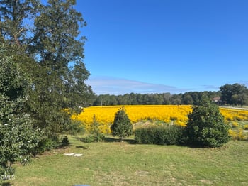 107 Rose Dairy Rd, Four Oaks, NC 27524