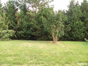 107 Sherwood Forest Pl, Cary, NC 27519