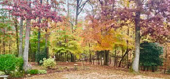 107 Smithsanders Ct, Smithfield, NC 27577