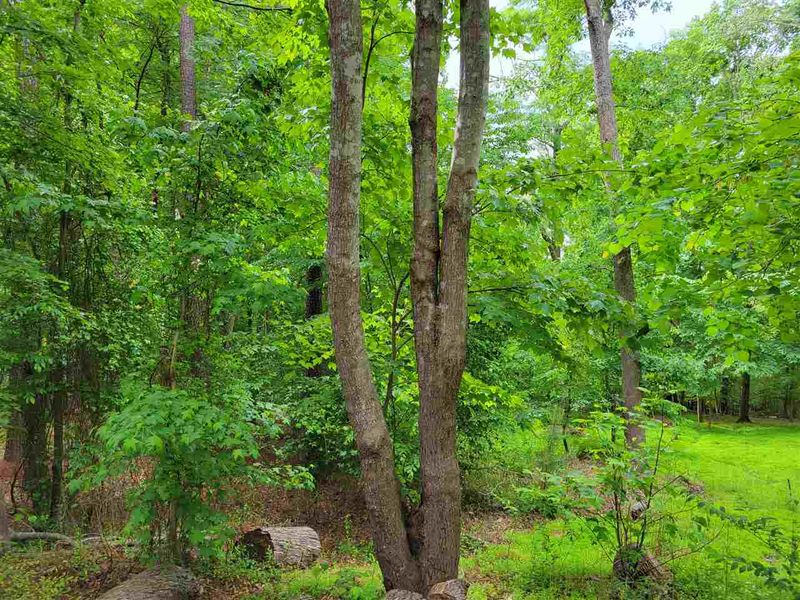 107 Wainwright Ct Lot 50, Durham, NC 27712