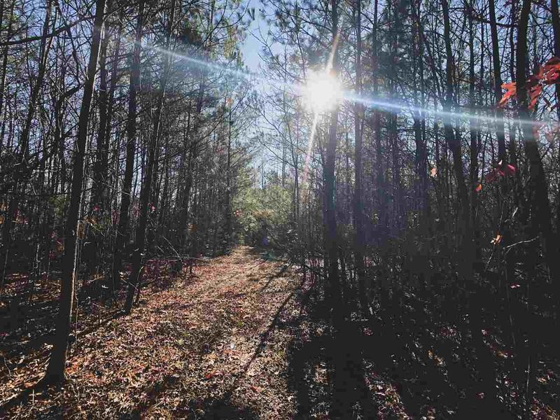 107.39 Ac. Russell Rd, Durham, NC 27712