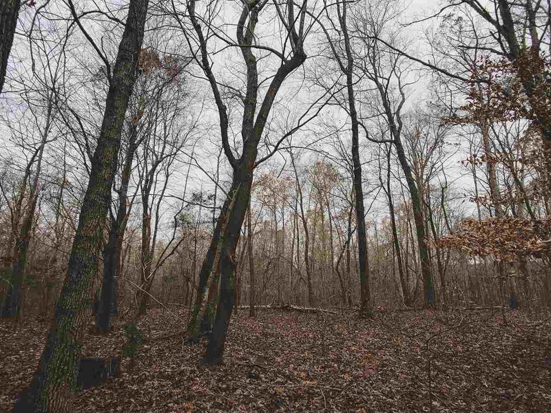 107.39 Ac. Russell Rd, Durham, NC 27712