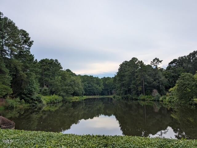 10708 Trappers Creek Dr, Raleigh, NC 27614
