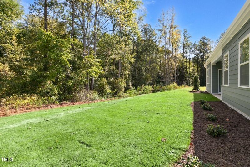 1073 Leo Minor Ln, Wendell, NC 27591