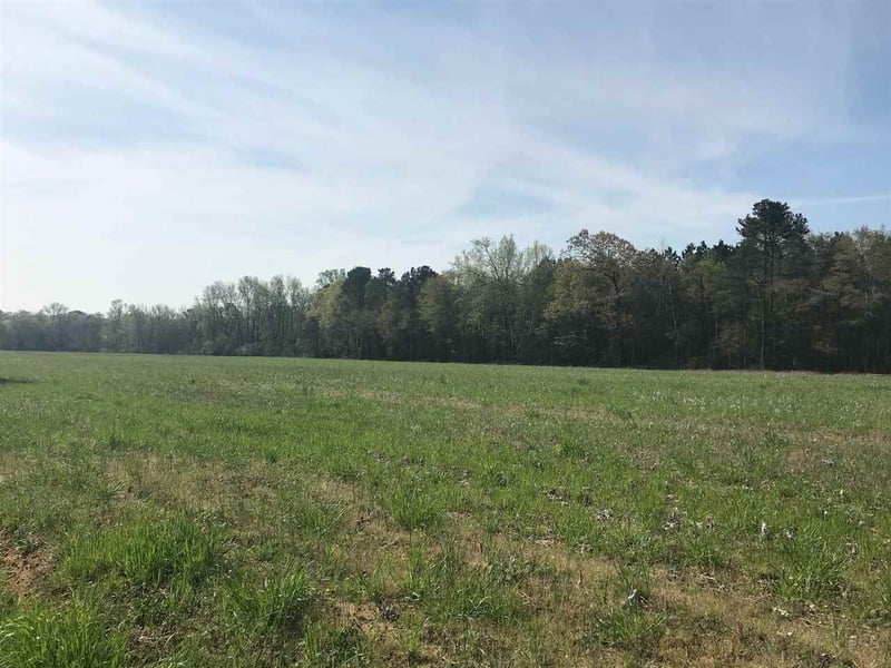 1073 Sheriff Johnson Rd, Lillington, NC 27501