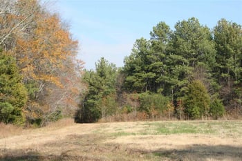 1074 Winston St Lot 1, Franklinton, NC 27525