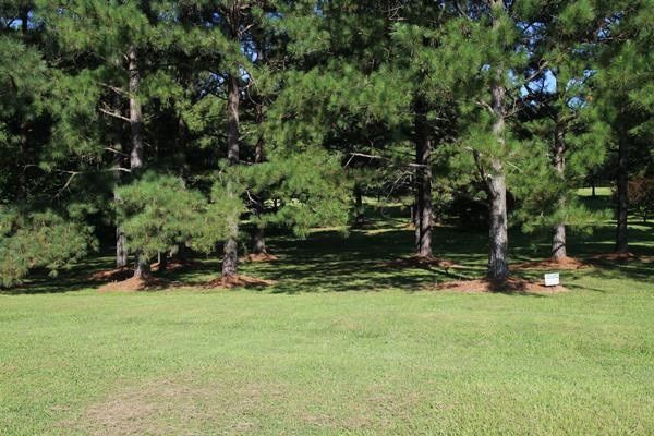 10757 Staghound Trl Lot 31, Zebulon, NC 27597