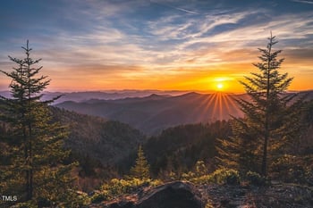 108 Decatur Dr, Fuquay Varina, NC 27526