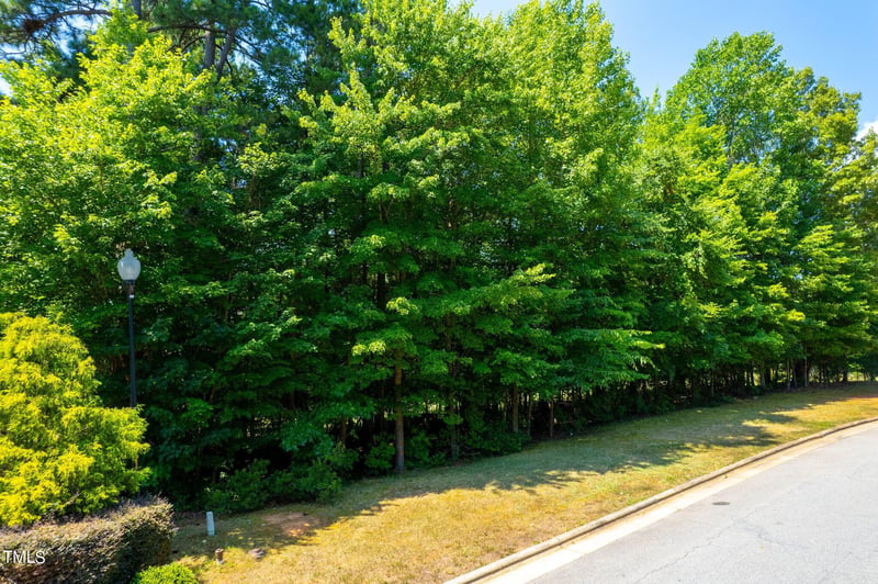 108 Eden Glen Dr Lot 208, Holly Springs, NC 27540