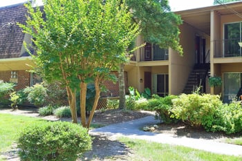 108 Ephesus Church Rd #Apt 502, Chapel Hill, NC 27517