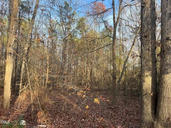 108 Lakeview Dr Lot 21, Youngsville, NC 27596