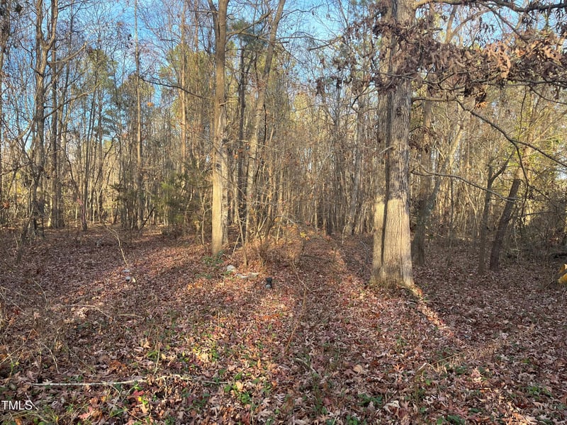 108 Lakeview Dr Lot 21, Youngsville, NC 27596