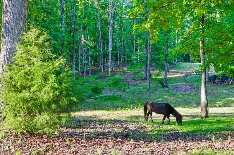 108 Saddle View Ln, Youngsville, NC 27596