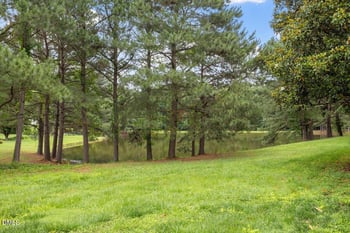 109 Bittercress Ct, Cary, NC 27518