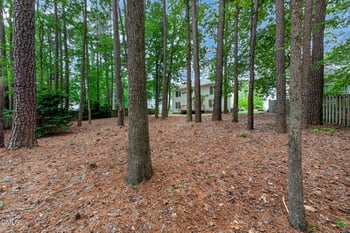 109 Chessington Ct, Cary, NC 27513