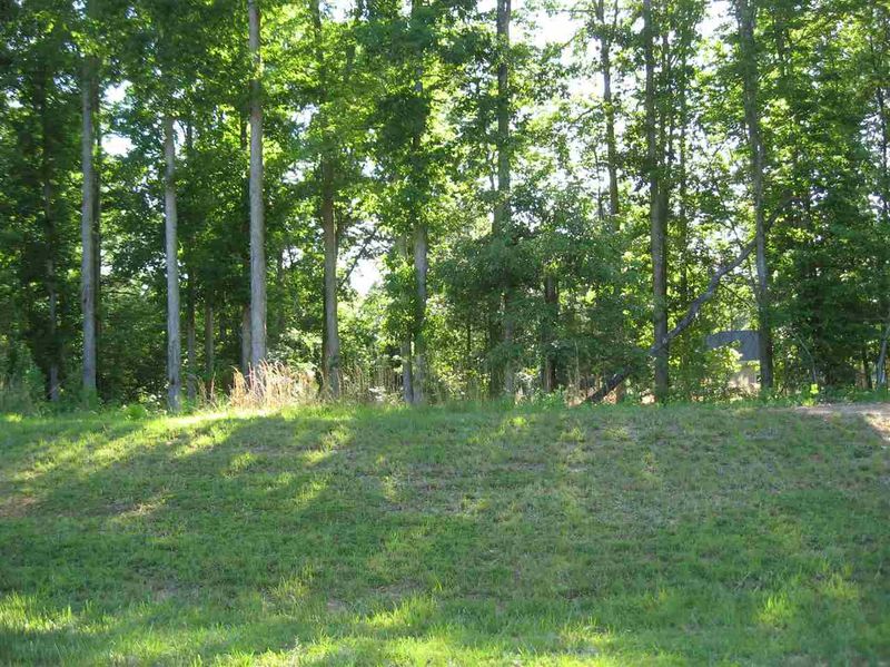 109 Henrys Ridge Rd Lot 38, Pittsboro, NC 27312