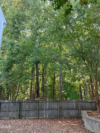 109 Lacombe Ct, Holly Springs, NC 27540