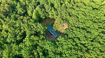 109 Nature Trl, Louisburg, NC 27549
