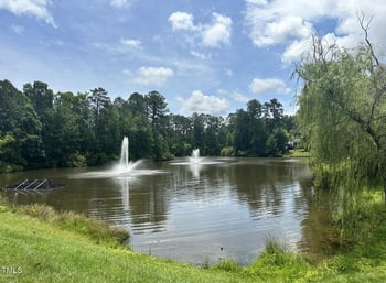 109 Ruby Walk Dr, Morrisville, NC 27560