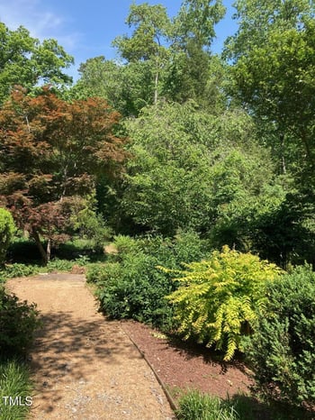 10909 Raven Rock Dr, Raleigh, NC 27614