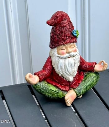 1093 Renewal Pl, Raleigh, NC 27603