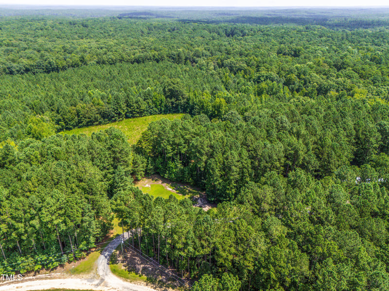 1096 Kadir Womble Dr, New Hill, NC 27562