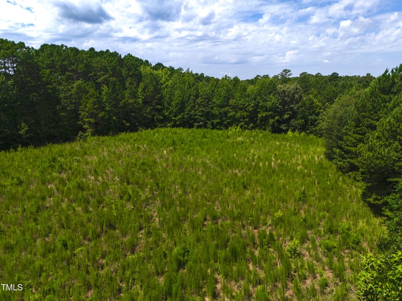 1096 Kadir Womble Dr, New Hill, NC 27562