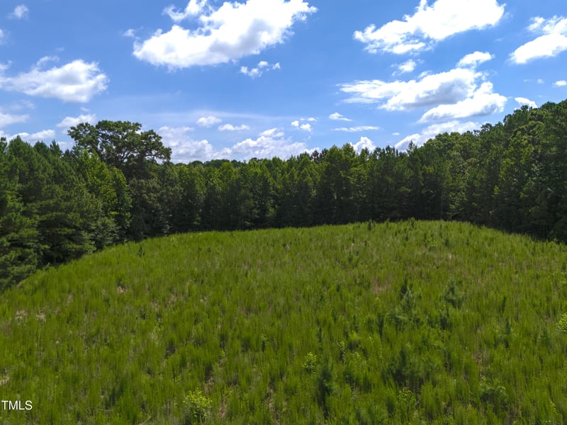 1096 Kadir Womble Dr, New Hill, NC 27562