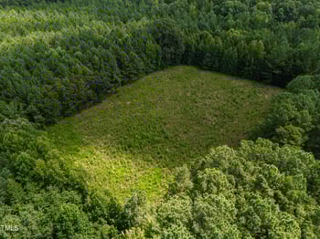 1096 Kadir Womble Dr, New Hill, NC 27562