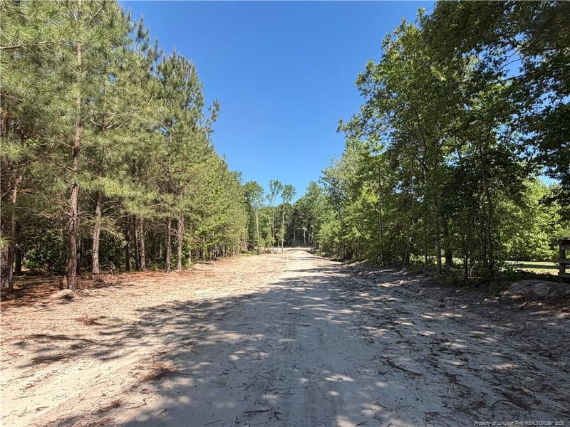 1098 Cedar Lane Rd, Sanford, NC 27332