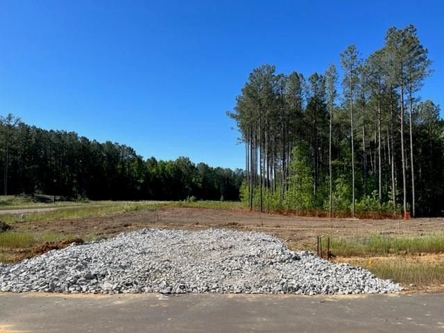 11 Terraza Ct #615, Clayton, NC 27527