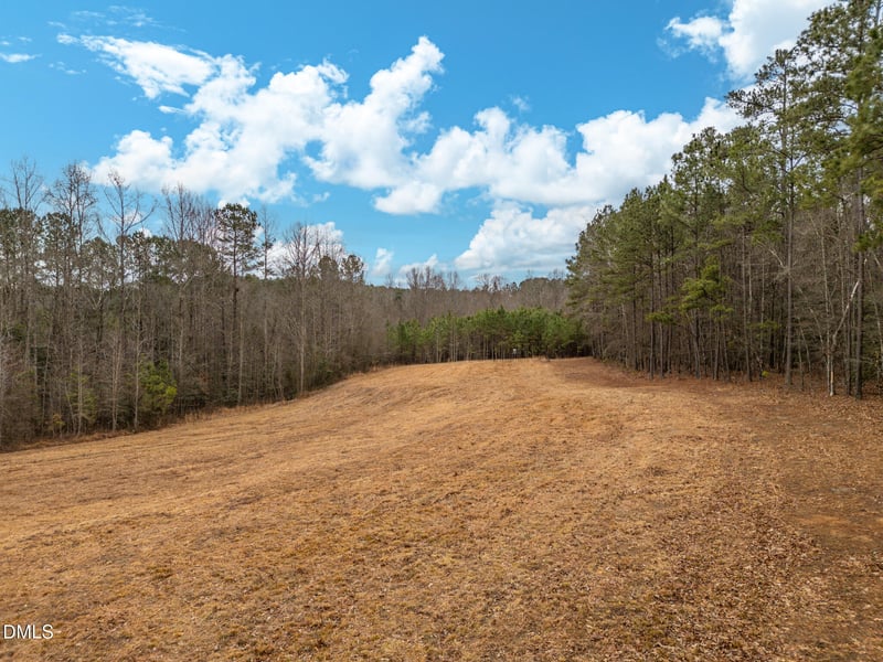 11.31 Pace Farm Rd, Wendell, NC 27591
