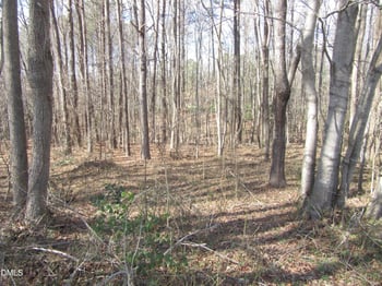 11.73 Acre Nc Hwy 96, Zebulon, NC 27597