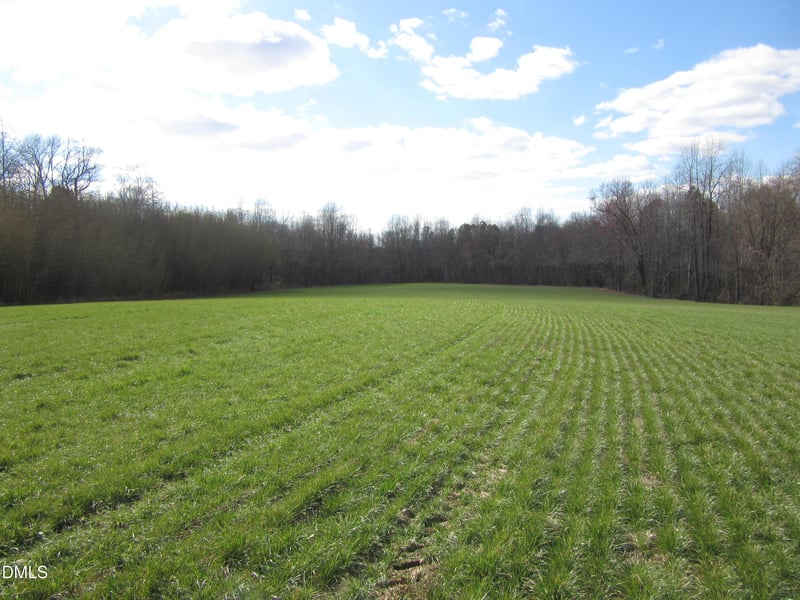 11.73 Acre Nc Hwy 96, Zebulon, NC 27597